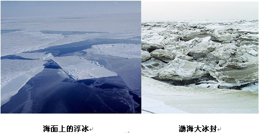 pic-11.jpg