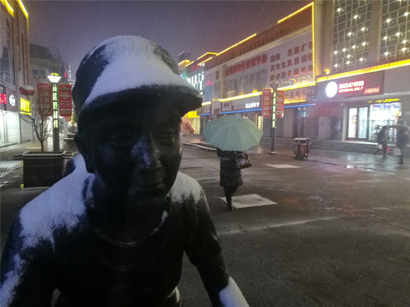 2月20日，在銀川市街頭，市民在雪中行走。