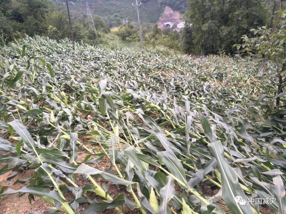 微信圖片_20190807170306.jpg