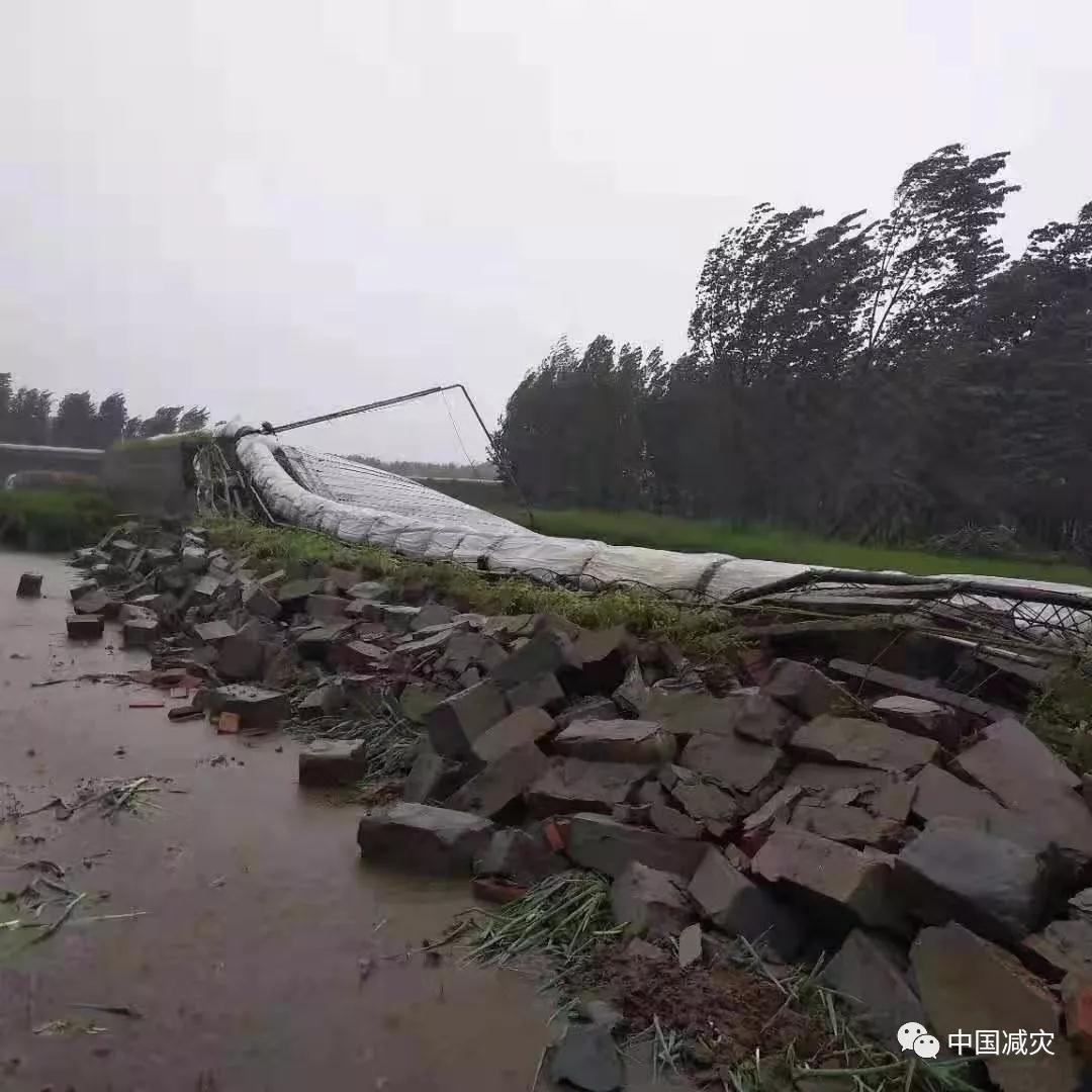 微信圖片_20190815133501.jpg