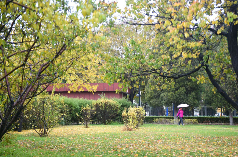  10月27日，在呼和浩特市，行人撐傘在雨中行走。